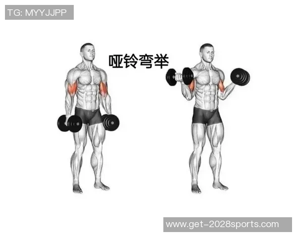 有效瘦手臂的举哑铃动作详解让你轻松塑造完美线条